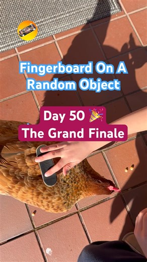 Day 50 (FINAL): Fingerboard vs Miss Cluckles 🐔🛹The grand finale…had to bring in the real boss 😤🔥