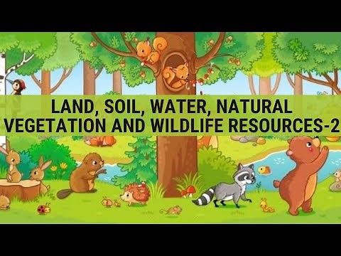 Chapt 2 Land, Soil, Water, Natural Vegetation & Wildlife Resources- Part 2| Class 8| Geography|NCERT