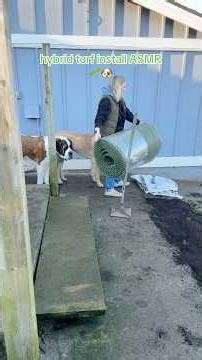 Hybrid Turf Install: Fix Muddy Dog Yards Fast with Real Grass Solution
