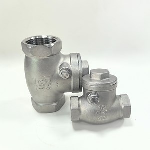 [Hot Item] 316 Stainless Steel Swing Type Check Valve