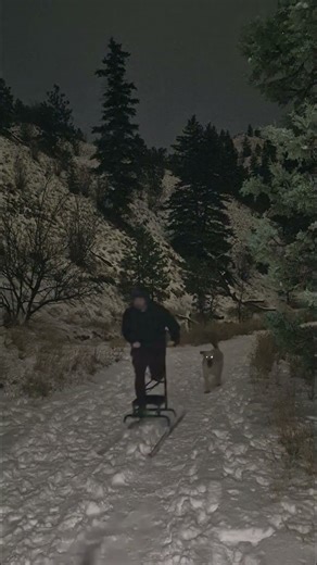 Dogsledding Kicksledding in the city with Rocker and Enyo night # 2. #dog #dogsled #kicksled