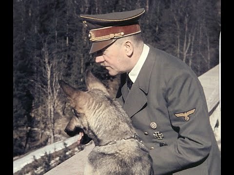 15 interesting facts about Adolf Hitler