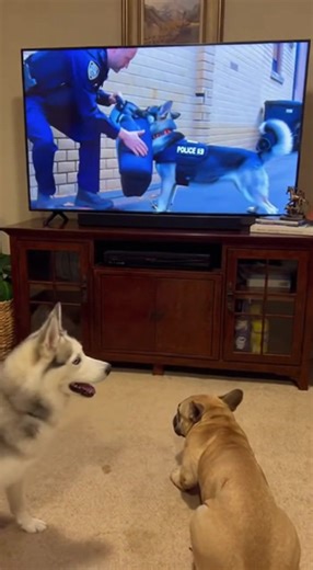73K views · 374 reactions | Dogs Enthralled by K9 Action! Watch these dogs react to a K9 on TV! Generated using Kling AI . . . (For entertainment purposes only. Consult professionals if guidance on activities is presented. No brand affiliation is implied if any are shown. If inspired by true events, creative adaptations may be included. Content may include public footage.) | Fabiosa - Live easy | Facebook