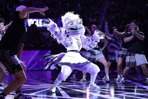 Golden State Valkyries' new mascot has landed: Meet Violet the raven