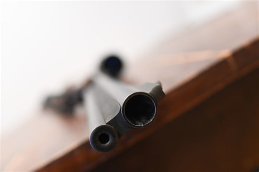 Wenn Notwehr zu weit geht: der Kirschbaumfall