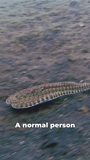 This Creature is an Alien 🐙👽 | alien