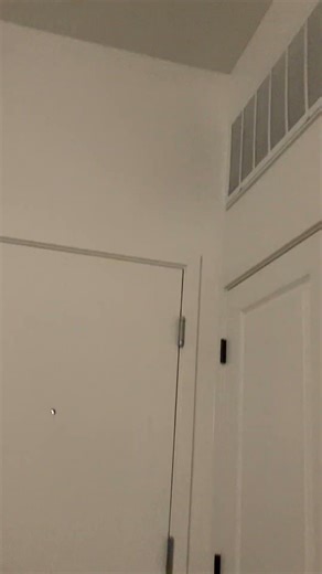 Australian Parakeets Stars 🌟 🥇🏆🐦🐦🦜🦜🦅🦅♥️♥️💝💝February 11, 2026