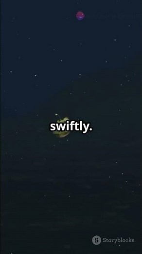 "Anglerfish: The Deep Sea's Enigmatic Predator"