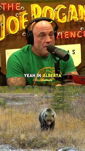 Joe Rogan: The Grizzly That Tried to Hunt Me