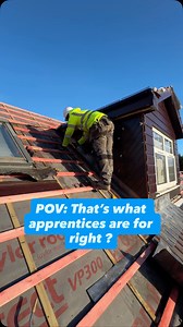POV: that what apprentices are for right? 🛠️ #roofing #apprentice #trades #roof #construction | Taylor Roofs