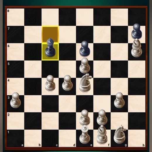 Human vs computer who will win (Chess YT)