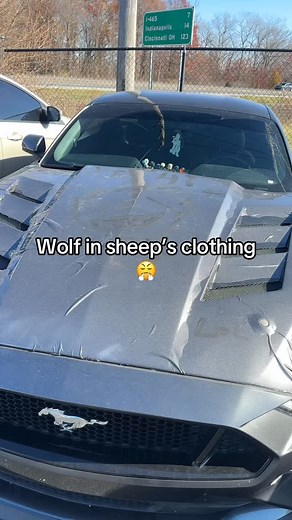 Wolf in sheep clothing… with carbon fiber diet. #mustanggt #vinylwraps | Poe Leader