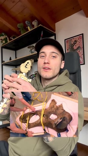 Mich 🦖 on Instagram: "🦖 I dino esposti nei musei sono reali? 🦕 Vi siete mai chiesti se gli scheletri di dinosauro presenti nei musei sono ossa vere e proprie o si tratta di ricostruzioni? 🧐 Vediamo di fare chiarezza; e come sempre se avete altre domande vi aspetto nei commenti👇🏼 • • #dinosauri #musei #preistoria"