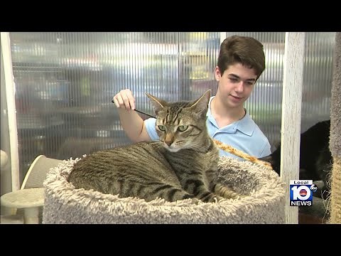 Nonprofit, no-kill shelter needs public’s help as they continue to save homeless animals