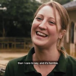 Get up close to Molly and Maggie, ZSL London Zoo's pretty giraffe half-sisters #ZooLife https://bit.ly/2mIcPnu | Evening Standard - Reveller
