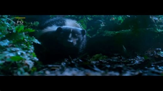 Disney TV Spot, 'A Real Bug's Life'