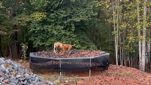 Sarah Lawrence on Reels