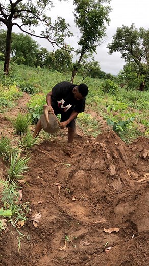 Anyhow you know you can survive, my brother do it….. | Chi Boy