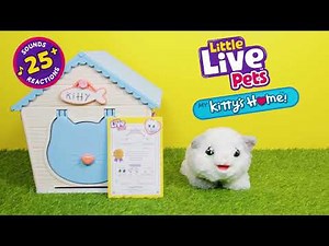 Little Live Pets My Kitty's Home – Interactive Kitty Plush Playset! 🐾🏠 #BuildYourOwn
