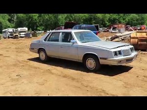 Junkyard Rescue 1985 Plymouth Caravelle