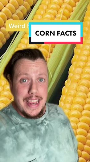 Interesting Corn Facts You Didn't Know
