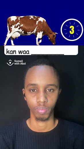 Animal names in Somali - part 01 - #somaliwithabzi #somaliwithabzicom #Somalilanguage #mistakes #Somalimistakes #somalionline #learnsomaliwithabzi #saywallah #saywallahi #somalidiaspora #words #sentences#somalitutor #language #languagechallenge #bilingual #somaliminnesota #somaliuk #somaliusa #somalicanadatiktok #foryoupage #Somalinorway #somaligermany🇩🇪🇸🇴 #qurbajoog #onlinetutor