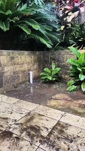 #pressurewashing #asmrcleaning #satisfying #cleaning #cleantok | Unclogging drains