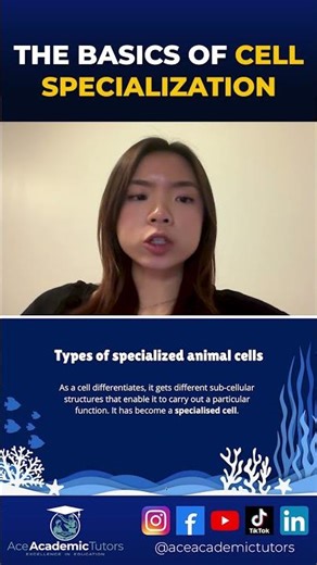 The Basics of Cell Specialization | Ace Academic Tutors