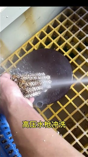 Jewelry Making Process | From Wax Model to Finished Gold-Plated Zircon Piece