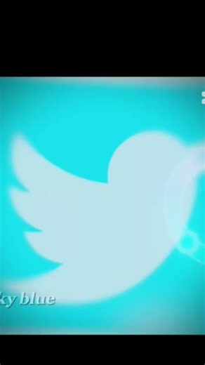 color wheel trend with social ✌🏻