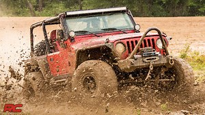 10K views · 81 reactions | Life's more fun when you're riding tall!...