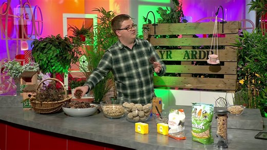 Adam yn yr Ardd: Bwydo'r Adar 🐦 | Prynhawn Da S4C