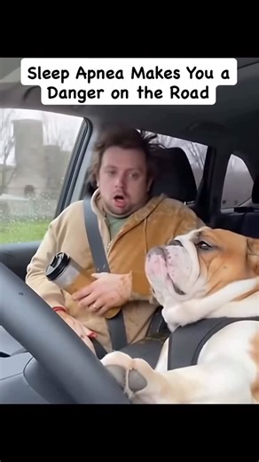 Cpap Reviews on Instagram: "Most car accidents don’t start on the road. They start in the bedroom when sleep apnea robs your brain of oxygen and pushes you into microsleeps. Get tested. Get treated. Get home safe. #sleepapnea #sleephq"