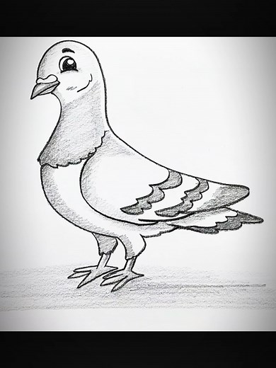 Step-by-Step Guide to Drawing a Pigeon