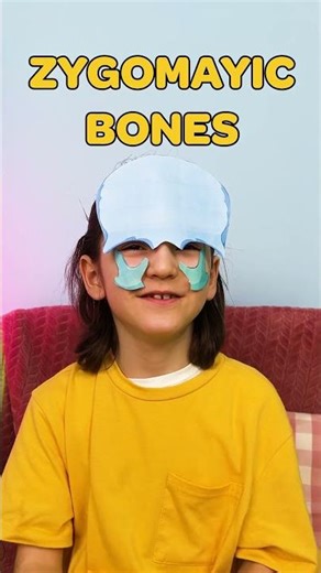 What Bones is Our Face Made Out Of? 💀 Let's Find Out!