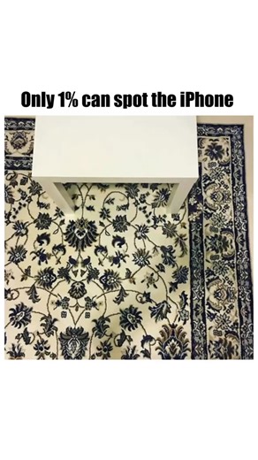 Crazyscenez on Instagram: "Follow if you spotted the iPhone ↑ WHAT IPHONE? Can you spot the iPhone blending into this living room carpet? Linger for a moment it’s hiding in plain sight #explorepage #explore #viral #reels #crazyscenez"