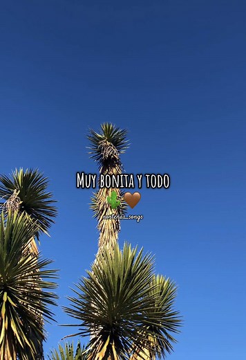 norteñas_songs on TikTok