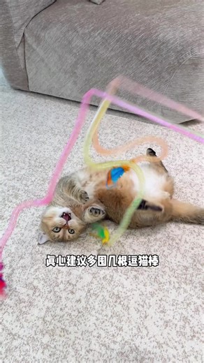 Interactive Snake-Shaped Cat Toy for Fun Playtime