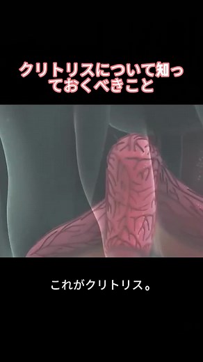 クリトリスの秘密とは？女子必見！カラダの不思議を科学で解説