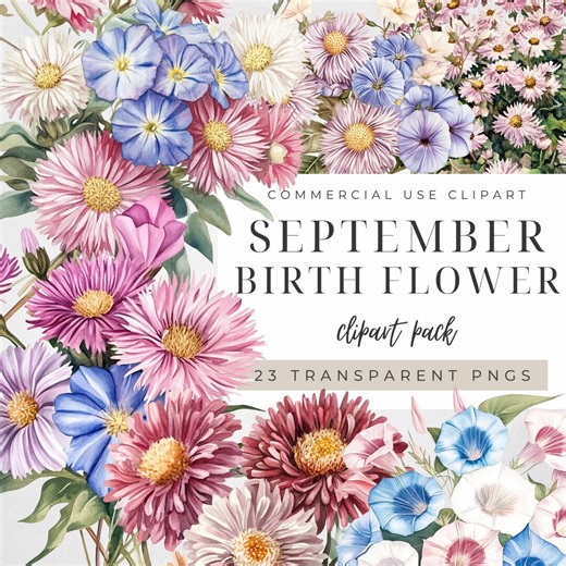 September Birth Flower Clipart, Aster Morning Glory Floral Graphics, Botanical Commercial Bundle, Watercolor Garden Instant Download - Etsy