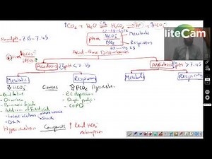 Acid Base 3 Disturbances