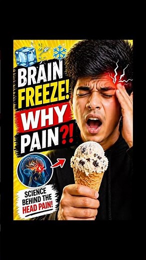 Why Ice Cream Hurts Your Brain?! 😳