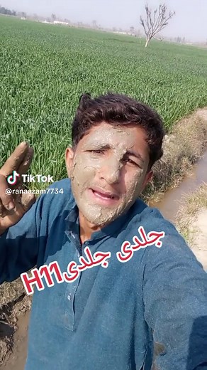 Quick TikTok Search Guide for H11