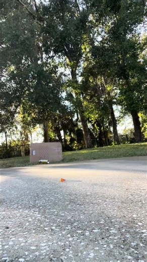 At 15 yards with a Cold Steel Blowgun