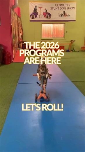 32 reactions | We're rolling out the full conference programs for...