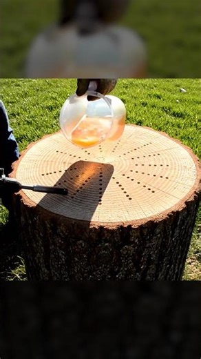 How many holes are needed to remove a tree stump? AI