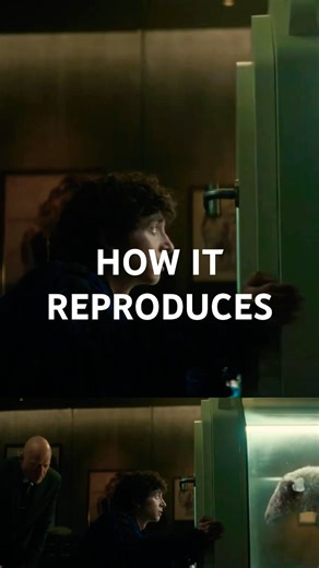 How the EyeBall Alien in Alien Earth Reproduces 🧿 #TOcellus #EyeballAlien