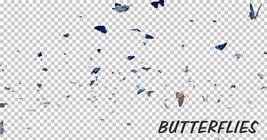 Graceful Butterfly Swarm Flying with Alpha Channel