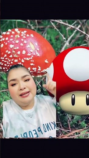 Mario Bros mushrooms #mushrooms #amazing #mariobros #didyouknow