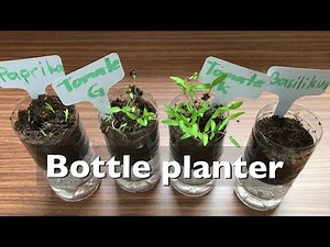 Planting Seeds - Plastic Bottle Craft + Self Watering Plant